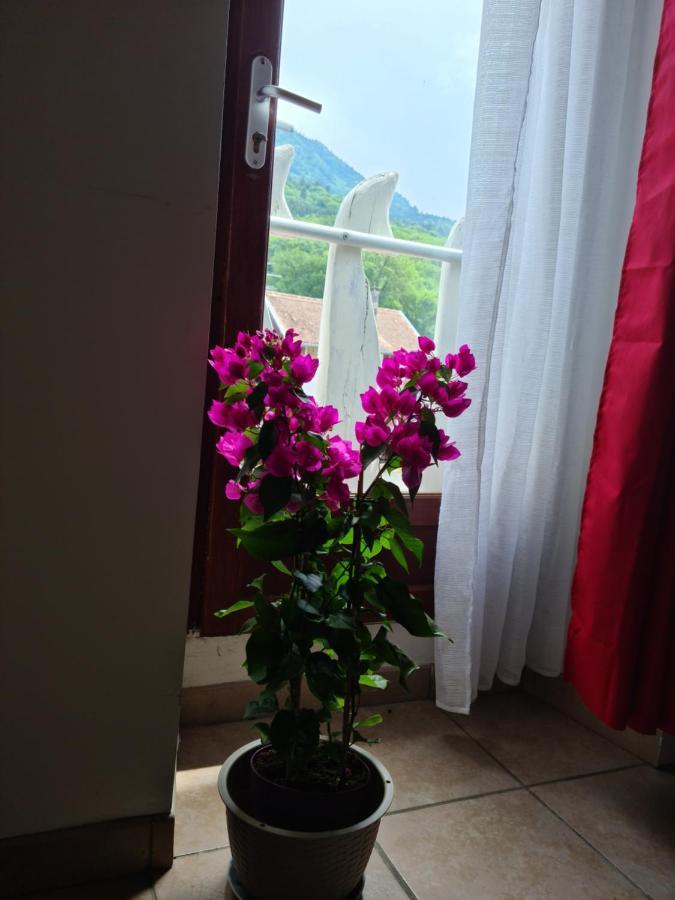 Appartement Route De Cursinges Cervens Exterior foto